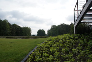 Natuurlijke tuinaanleg talud 1